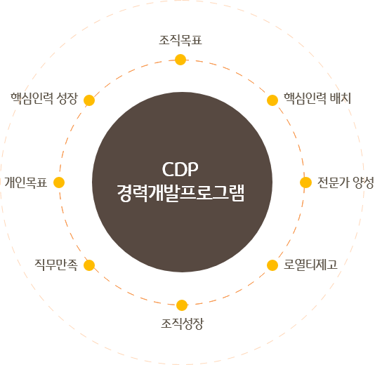 CDP °æ·Â°³¹ßÇÁ·Î±×·¥